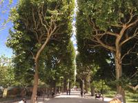 Jardin des Plantes