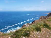Jersey Steilküste