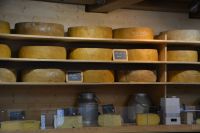 Käseeinkauf in Ribeauvillée