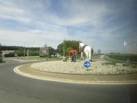 Kieselsammler