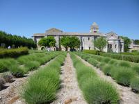 Kloster in Senanque
