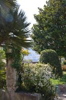Klostergarten Cimiez, Nizza