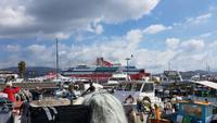 Korsika, Ajaccio, Hafen Tino Rossi