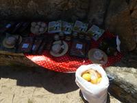 Korsisches Picknick