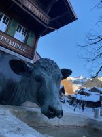 Kunst am Brunnen