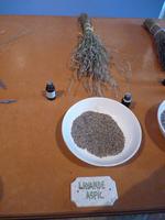 Lavande Aspic