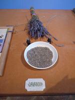 Lavandin