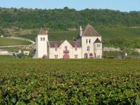 Le Clos de Vougeot et son château.