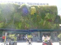 Les Halles Avignon
