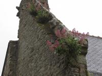 Locronan