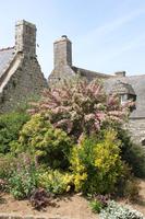 Locronan