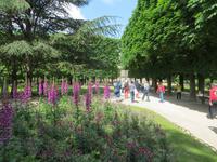 Luxembourg-Garten