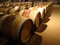 Macon - Weinmuseum 