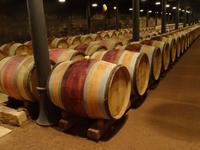 Macon - Weinmuseum 