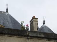 Marais-Rundgang