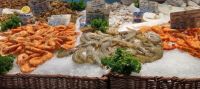 Markthalle -die Schalentiere im farbiger Zusammenstellung
