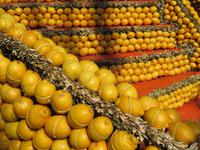 Menton Zitronenfest