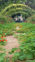 Monets Garten