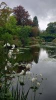 Monets Seerosenteich 