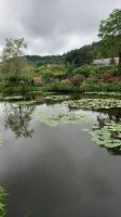 Monets Seerosenteich 