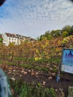 Mont Martre