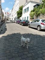 Montmartre