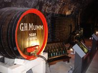 Mumm Fuehrung