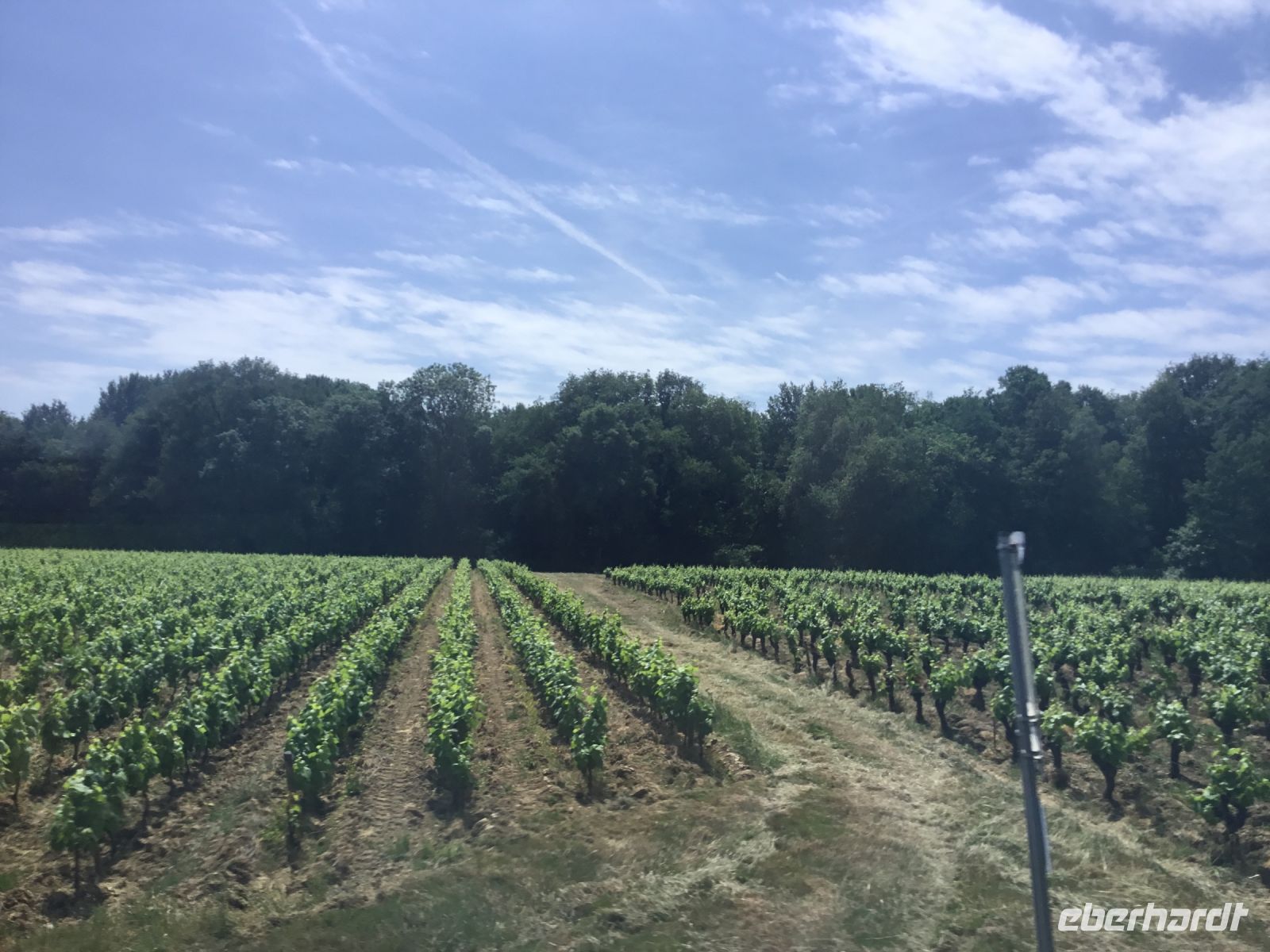 Muscadet!