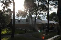 Museum 