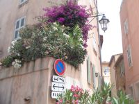 Museum St. Tropez