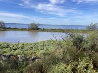 Nicht das Meer - sondern Brackwasser