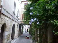 Nizza und Côte d'Azur - Single-Treuekundenreise