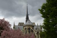 Notre Dame