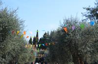Olivengarten Cimiez, Nizza
