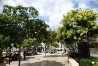 Orléans (13)