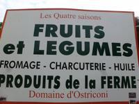 Ostriconi