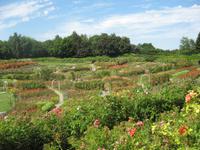 Parc Floral Caen