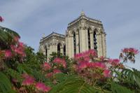 Paris Tag 1 Notre Dame