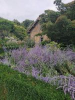 Pays d' Auge