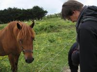 Penmarc'h