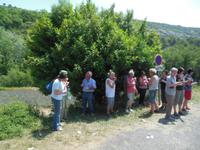 Picknick 