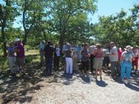 Picknick im Luberon 