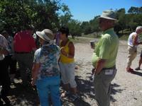 Picknick im Luberon 