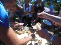 Picknick im Luberon 
