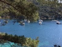 Provence Inselausflug