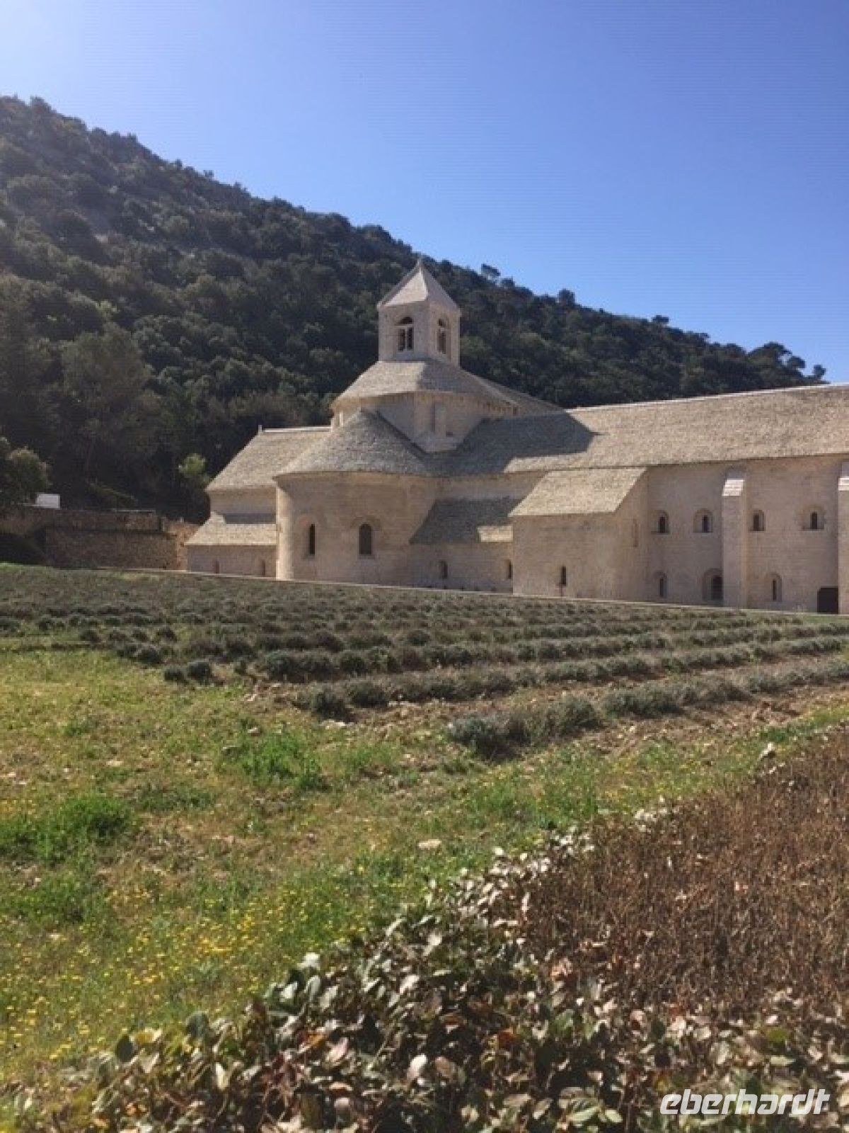 Provence Senanque