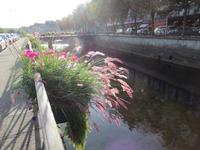 Quimper