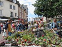 Rennes