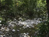 Restonica Schlucht
