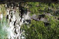 Restonicaschlucht